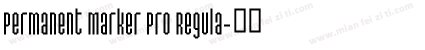 Permanent Marker Pro Regula字体转换